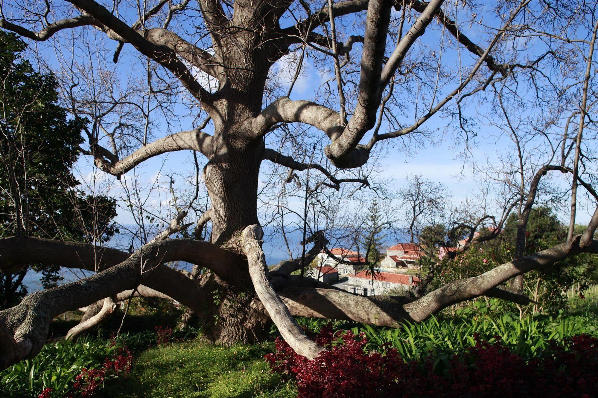 Quinta Das Vinhas Calheta  Eksteriør bilde