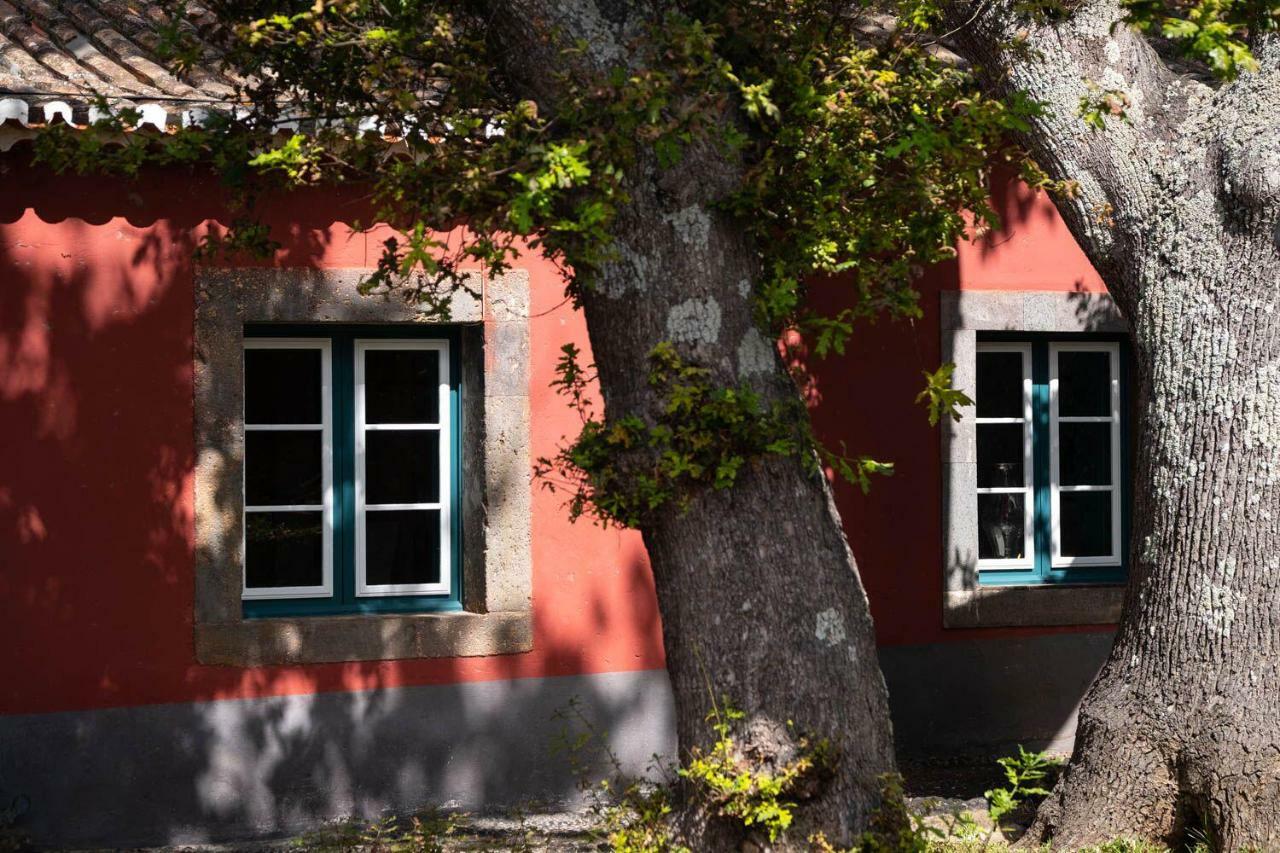 Quinta Das Vinhas Calheta  Eksteriør bilde